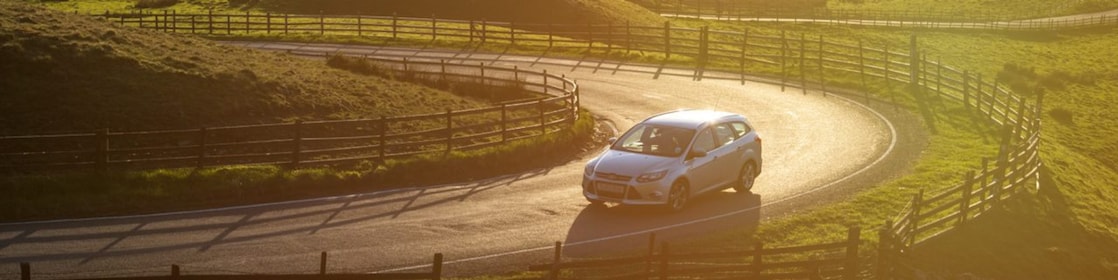 Car driving in green field
