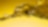 Shell oils and lubricants